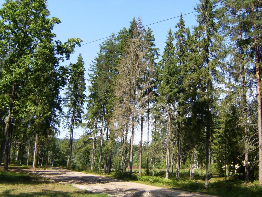 Kempings Ozolkalns Цесіс Екстер'єр фото